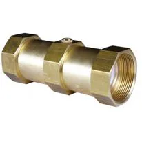Reliance Water Controls Female x Female Brass Double Check Valve
